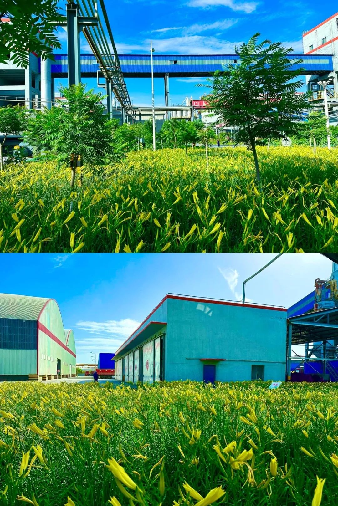 1690244283536461.jpg 640 (10).jpg