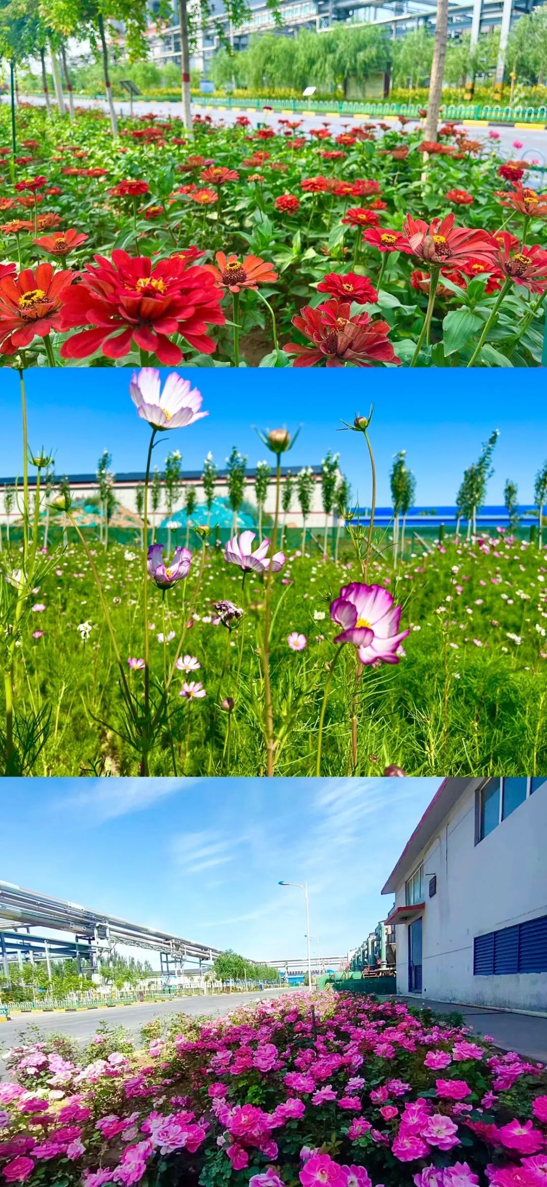 1690244292513668.jpg 640 (11).jpg