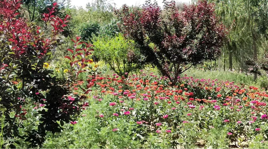 1690934871222048.png 640 (1).png