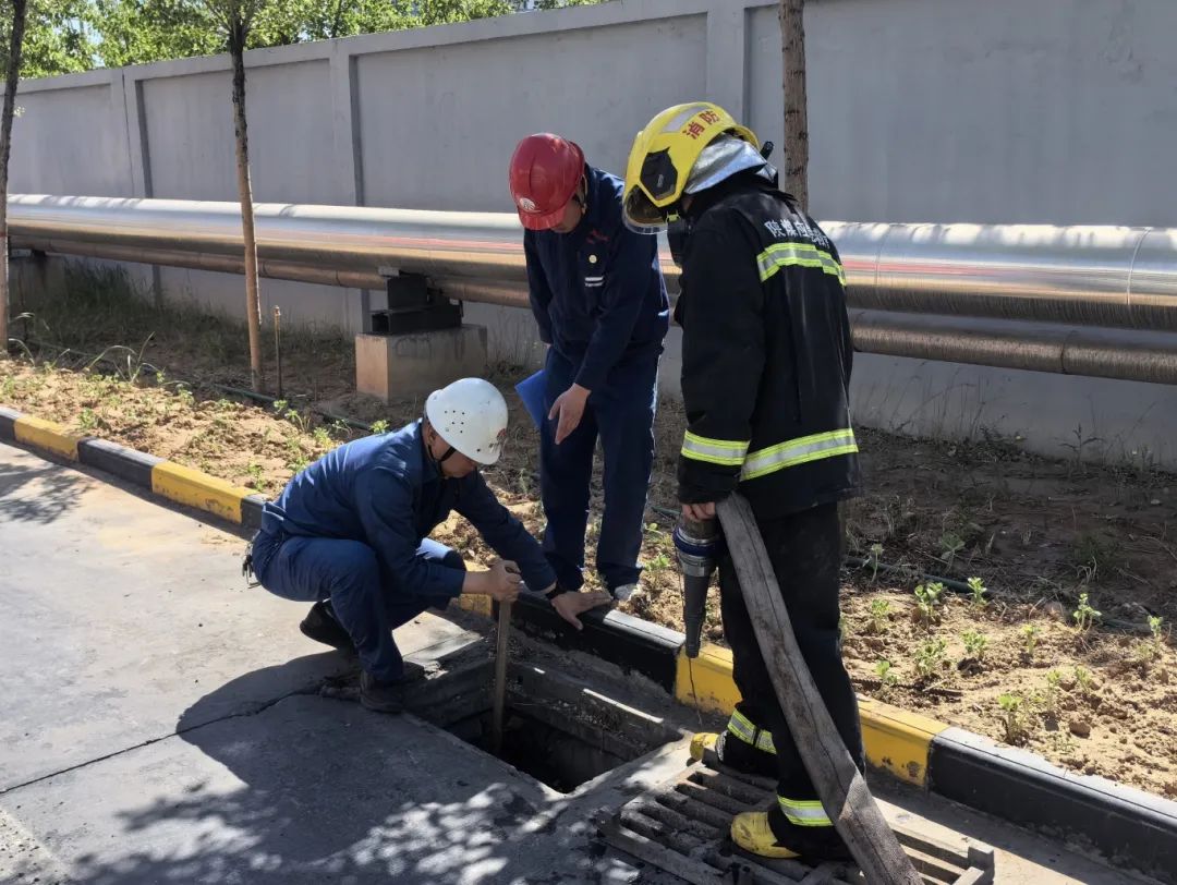 1716509527613418.jpg 640 (3).jpg