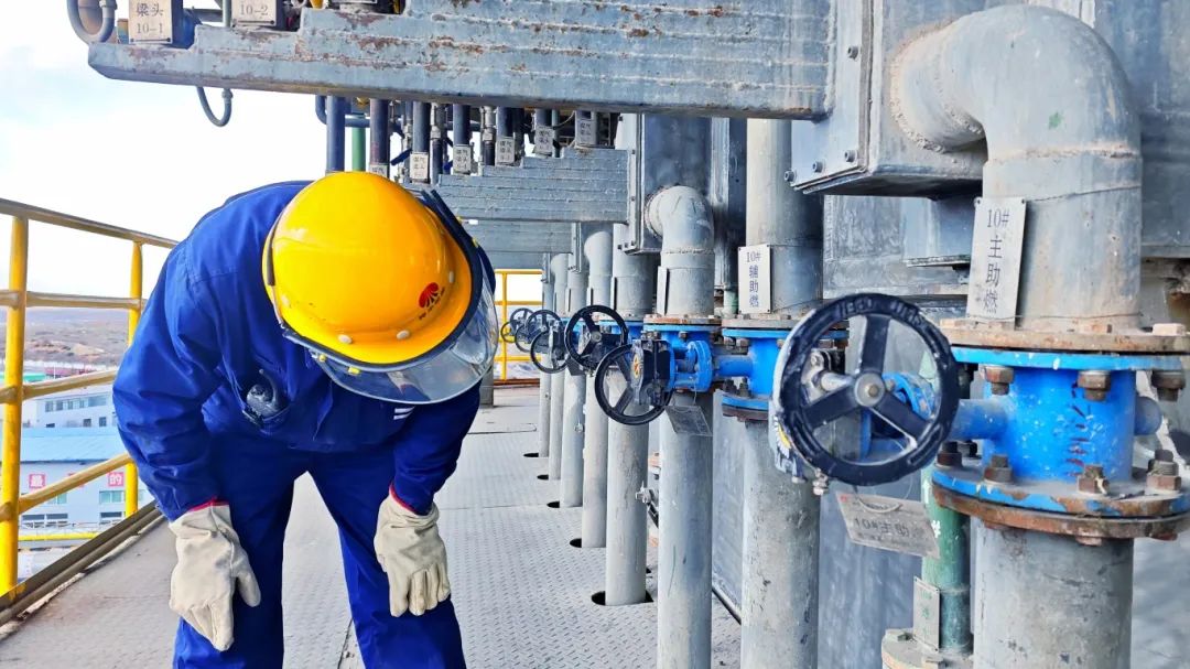 1732753865108483.jpg 640 (9).jpg