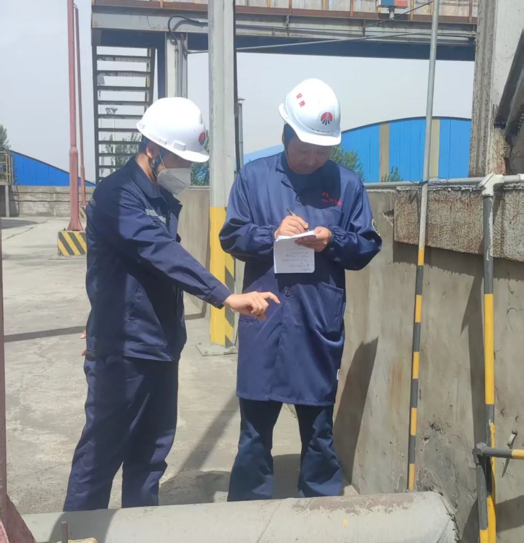 1747787227403552.jpg 640 (5).jpg